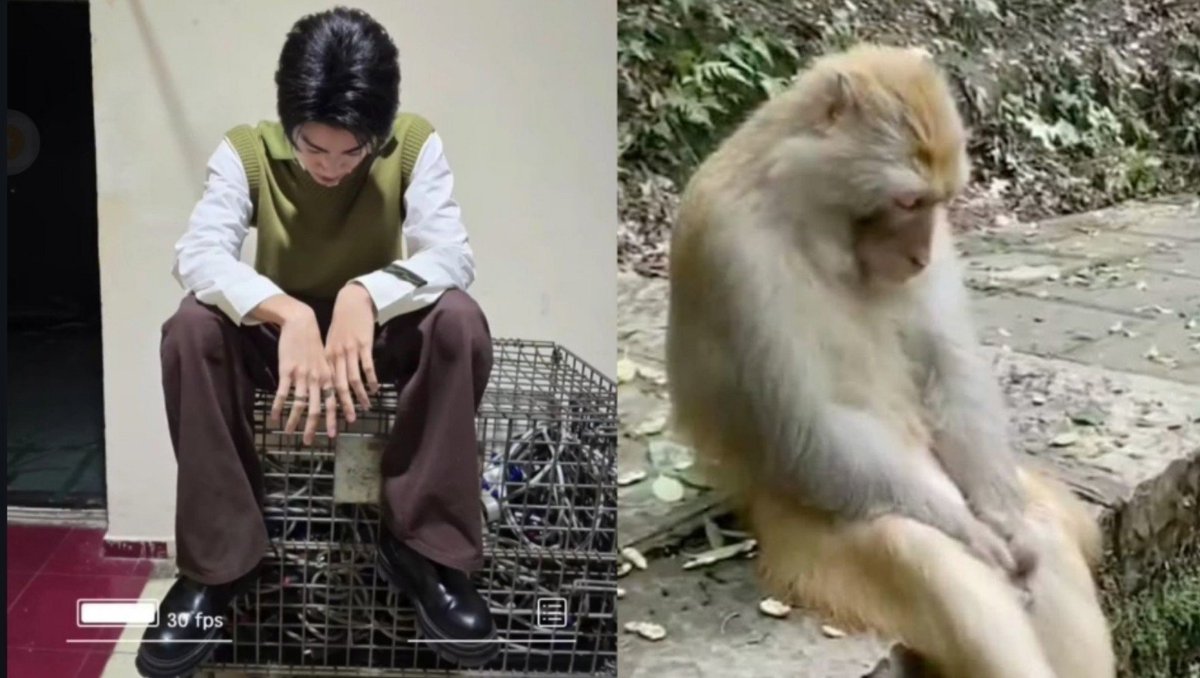 acervomondpro's tweet photo. #almondbabybigboy meio macaquinho triste https://t.co/jNcHPg14GW
