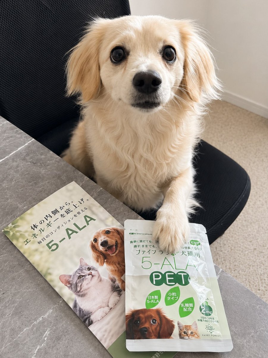 DoretheaParff's tweet photo. I won a giveaway from @fairyforest_official and got to try 5-ALA PET, a supplement for dogs and cats. 5-ALA is an amino acid involved in energy production. Since its levels may decrease with age, it can support daily health. Made in Japan, small, https://t.co/CZ31XSoXTr