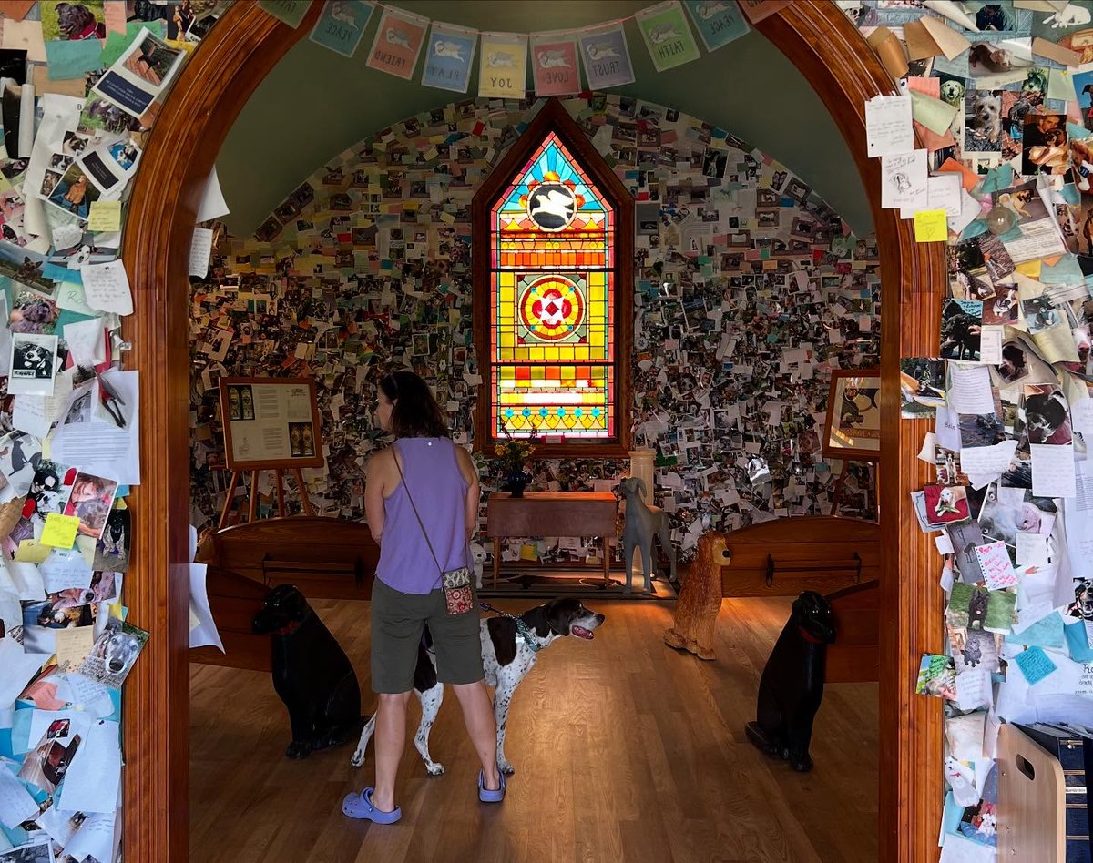 FerdinandDlk's tweet photo. I had a special opportunity during my Vermont vacation to visit Dog Mountain with my dog nephew, Murray, and sister-in-law. Created by late artist Stephen Huneck, the 150-acre property features trails, ponds for dogs to play, and a beautiful chapel https://t.co/43ZfKPgUUV