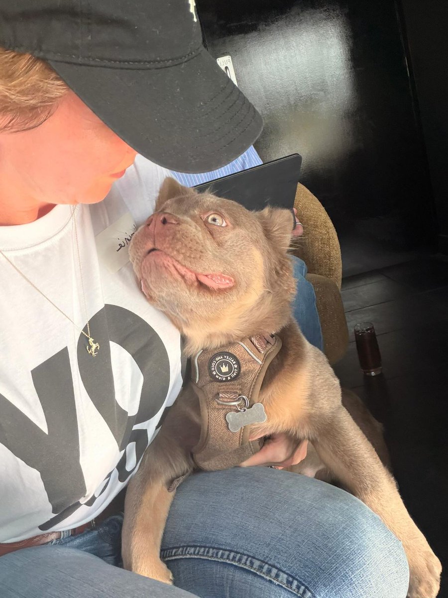 SunshineDenbhx's tweet photo. Yesterday was amazing! I saw many familiar faces from the previous event with Barks and Boys, and I’m so grateful to be surrounded by such wonderful people and dogs. Thank you all for coming—see you soon! https://t.co/UUete232LP