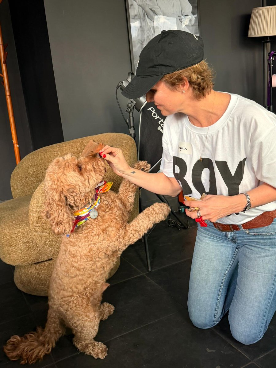 SunshineDenbhx's tweet photo. Yesterday was amazing! I saw many familiar faces from the previous event with Barks and Boys, and I’m so grateful to be surrounded by such wonderful people and dogs. Thank you all for coming—see you soon! https://t.co/UUete232LP