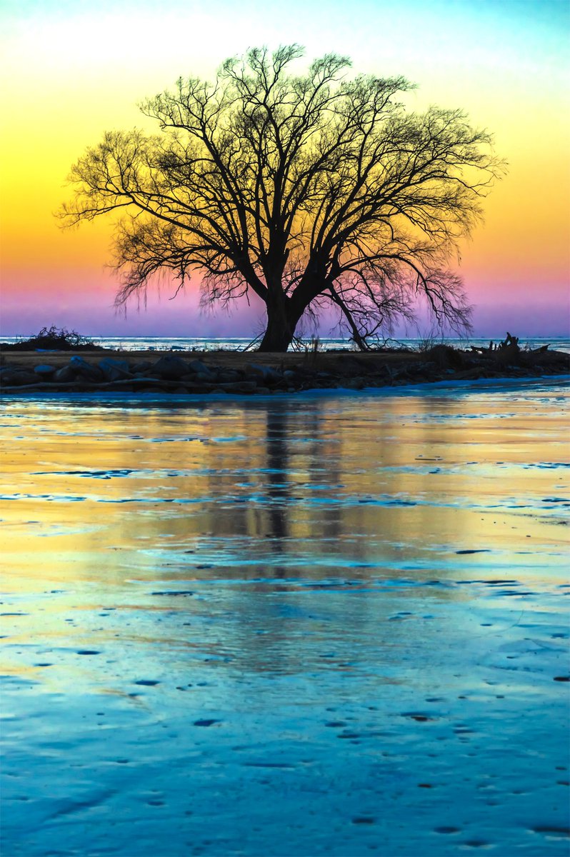_phos3's tweet photo. Saturday 26 September
Today's Daily Picture Theme is 'Uplifting Colours
“Rainbow Tree At Sunset”
https://t.co/8OSCzx5noe
#DailyPictureTheme #UpliftingColours https://t.co/qMcW8CZjym