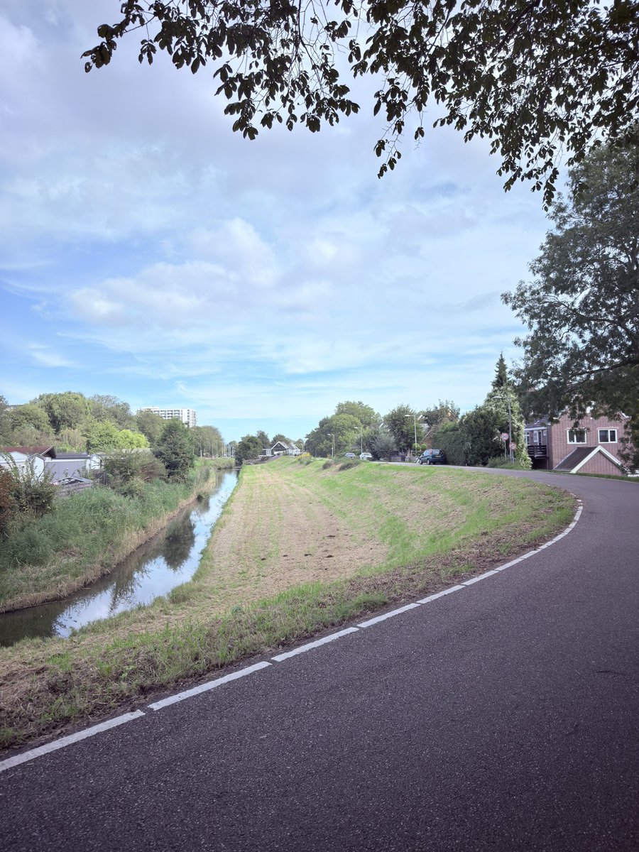 kantmoder's tweet photo. 🇳🇱 more from my walks today https://t.co/Ta4l5akpSy