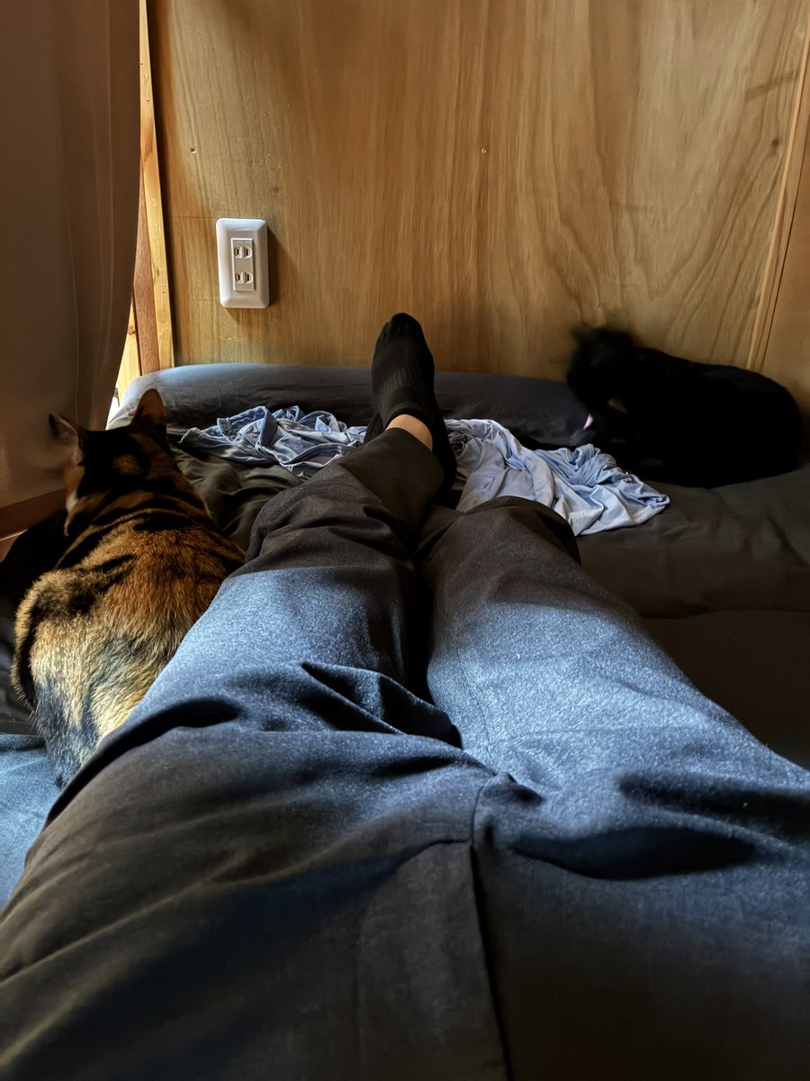 lunaticdial's tweet photo. 猫の寝息で安眠してたら追加で寝床を侵略されたり朝起きたら物音を察知して襲撃に遭うなどした 猫に体を擦られるオブジェクトになりたい人には最高の環境 https://t.co/eHR9BfwONO