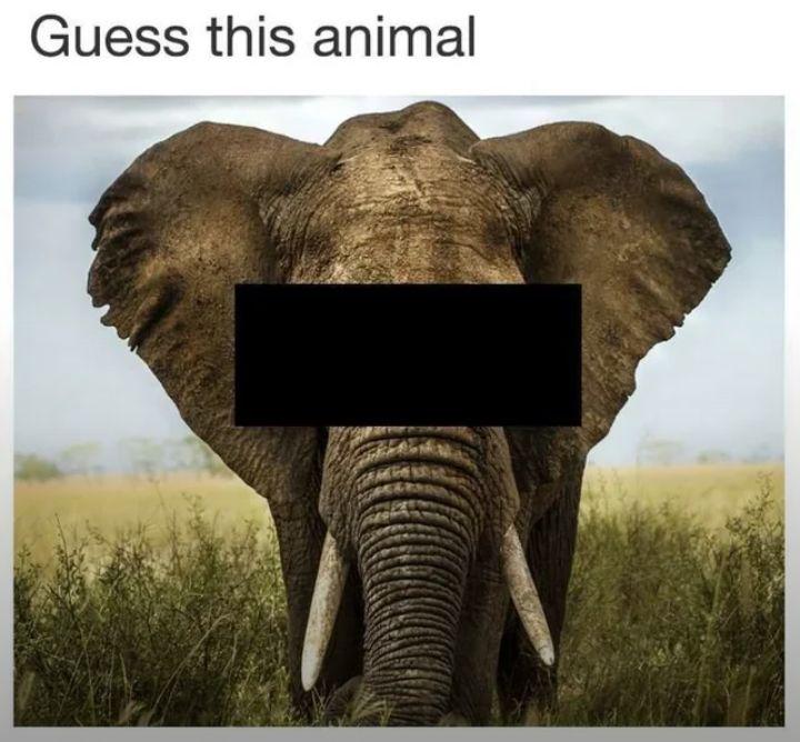 aRandom_acc_'s tweet photo. sure do wonder who that is

#Randomsdr2 https://t.co/IN0FeoR4cF