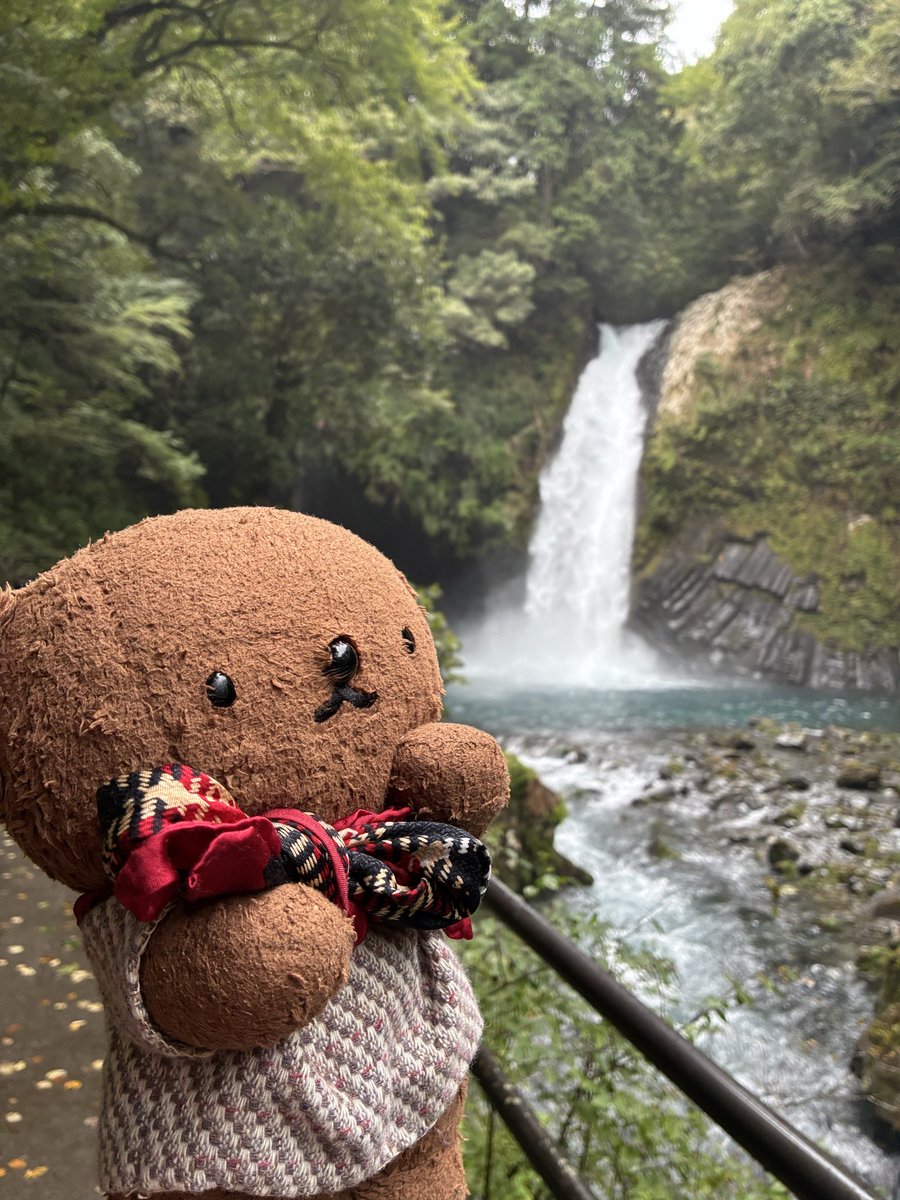 n3_vve0's tweet photo. 🧸やまがアｧ  もえる〜！！ https://t.co/WQ2n5ILVQK