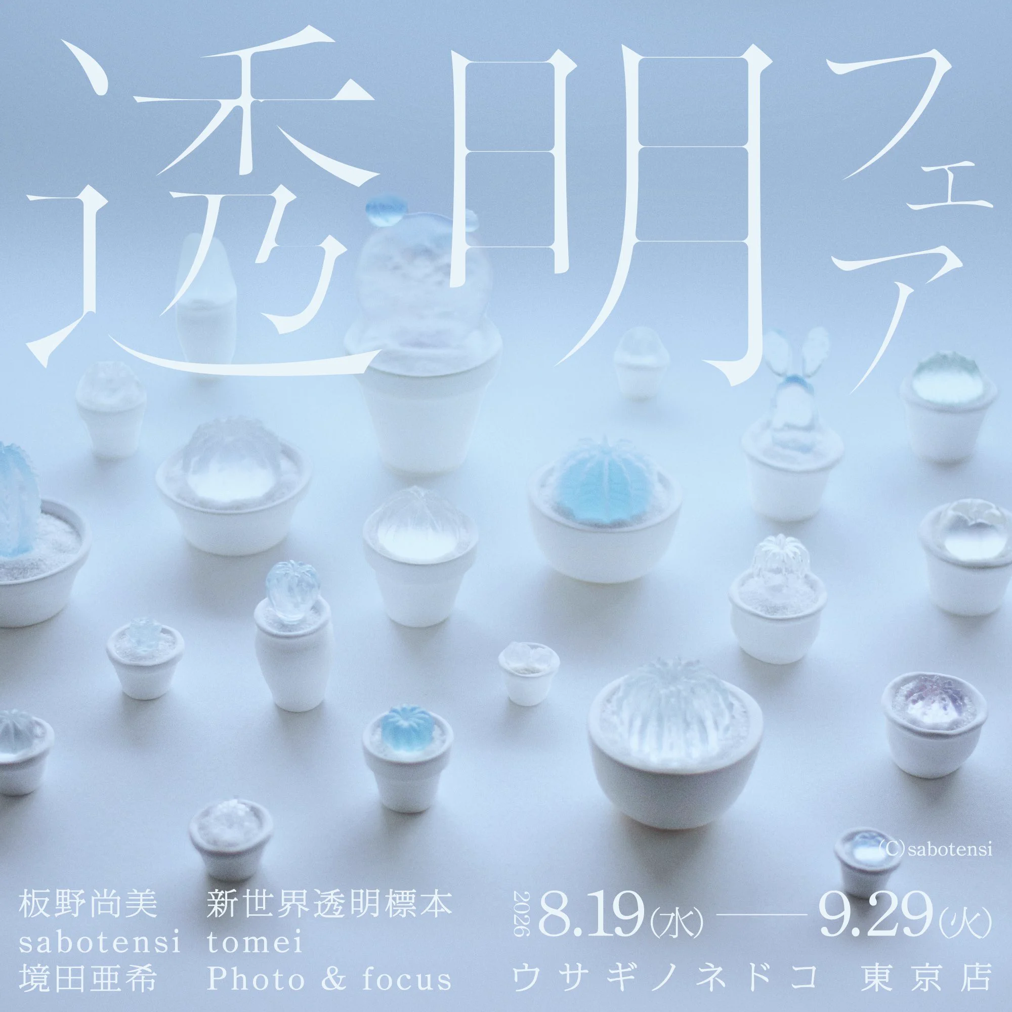 ウサギノネドコ東京店 on X: 