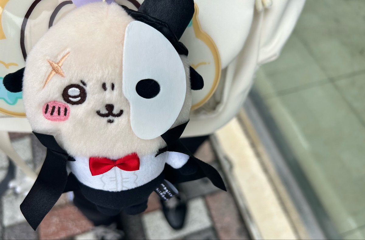 Myong_Meow's tweet photo. 랏코와 함께 출근🦦 https://t.co/FxfDh7uvn6
