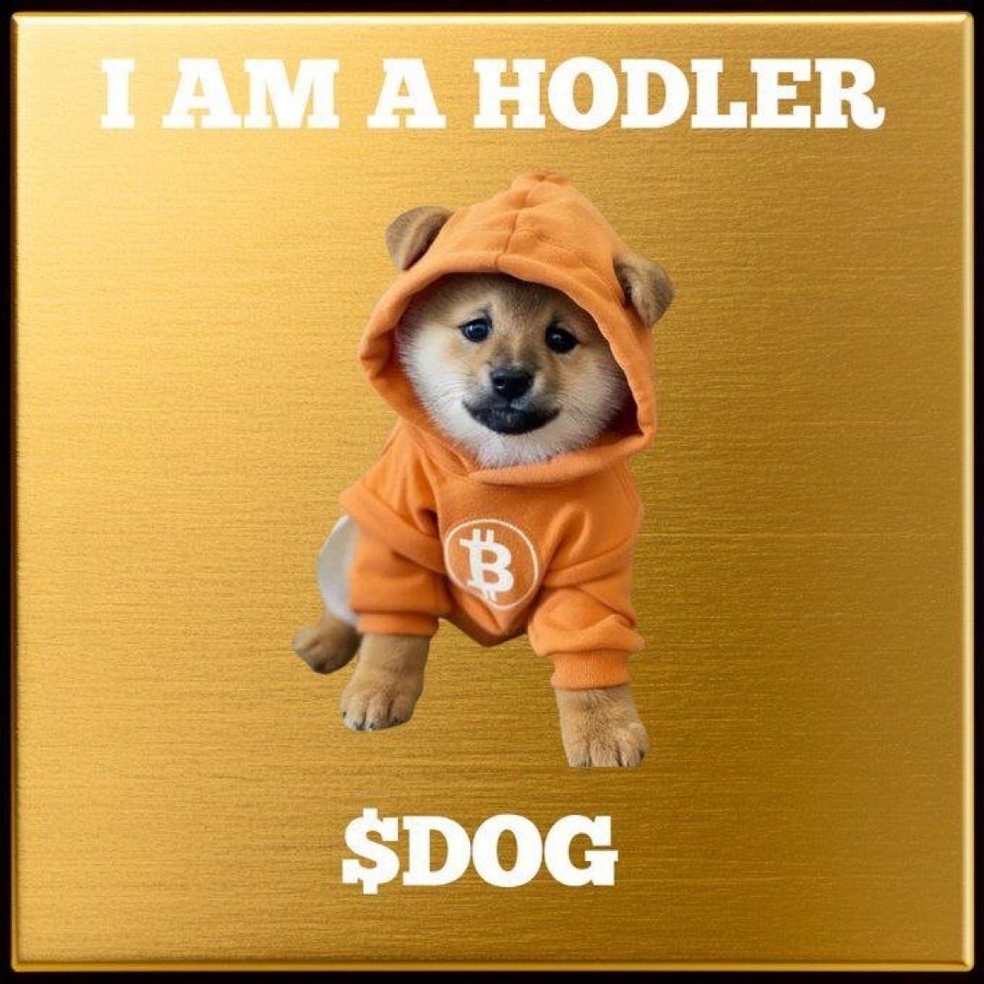 Doggystylll's tweet photo. @C2Blockchain @saylor solana:dog1viwbb2vWDpER5FrJ4YFG6gq6XuyFohUe9TXN65u 🫡 https://t.co/lMfw6JRXnN