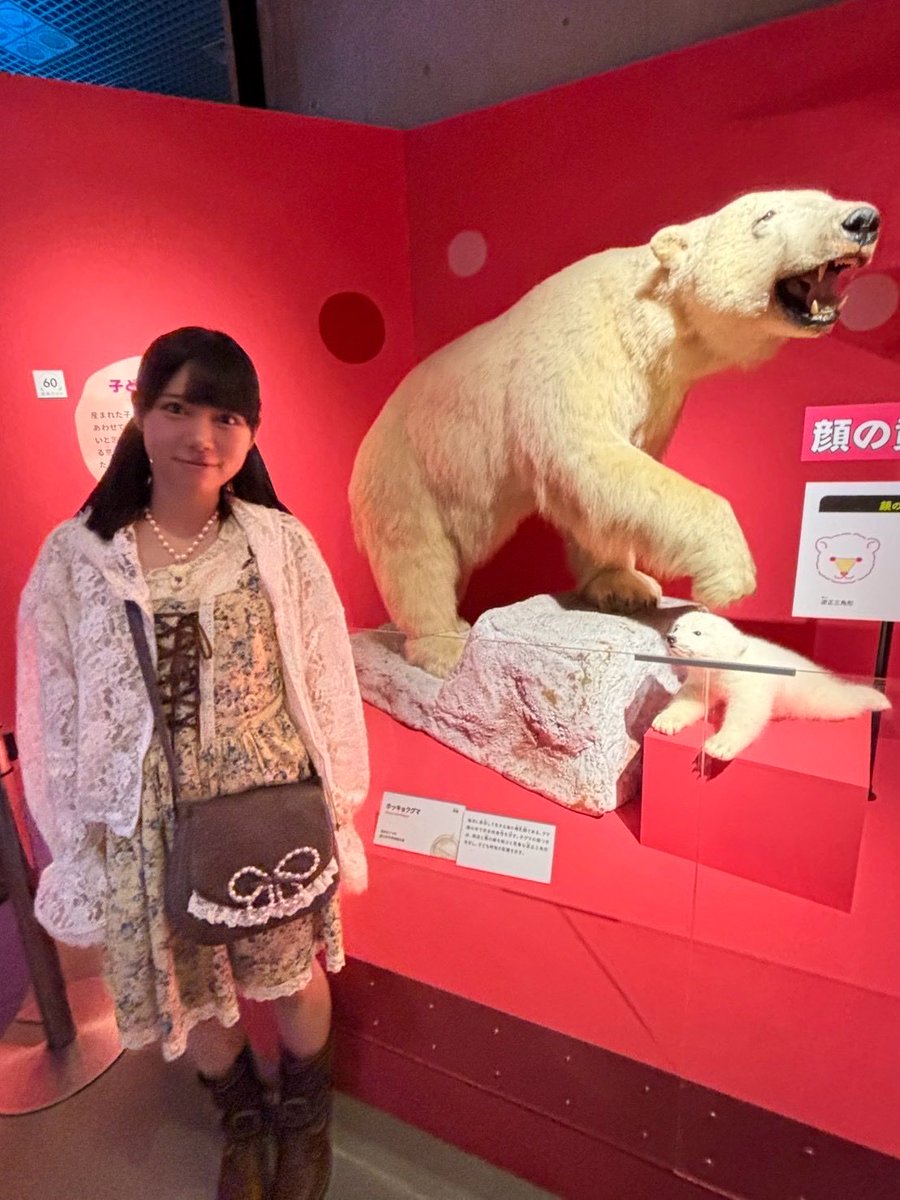 onishi_aoi's tweet photo. おはようʕ´-ﻌก̀ʔᐝ
こちらは、科博の特別展に行った時の写真です！博物館は、楽しいです。( ꈍ꒳ꈍ)♩
では今日ものんびり〜と生きていきましょう🐻‍❄️🐻‍❄️
 #ニアジョイ https://t.co/JOXpw24o0J