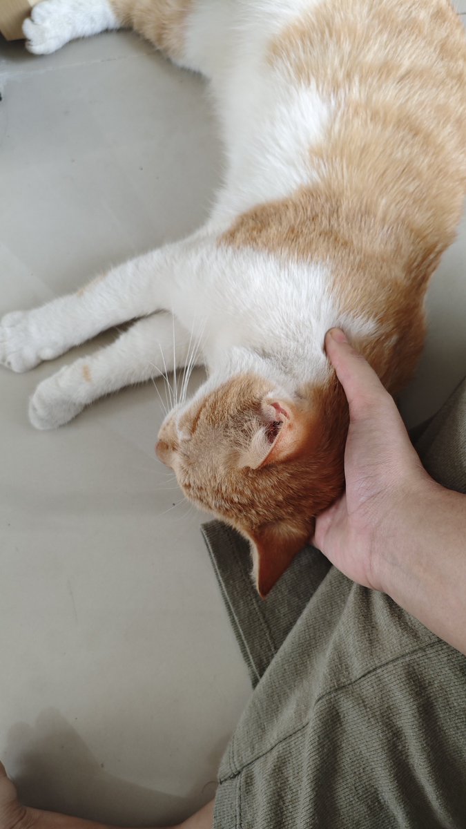 JohnDewerz's tweet photo. He's so clingy I love him https://t.co/6rzmPpNcgs