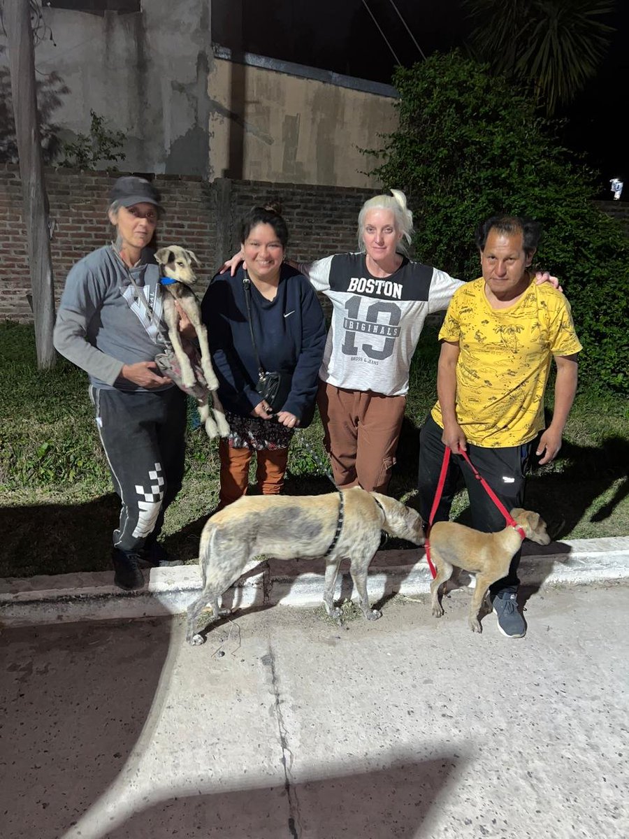 Ye94316774's tweet photo. Mi contacto en Marcos Paz
Marianela Tazmania (genia❤️)
Mando actualización de este caso.
Lo toma el refugio PATAN DUKE de Berazategui 
Gracias a Amor al galgo y tantos más que se sumaron a ayudar 👇🏻👇🏻 https://t.co/pdR6Wk6sRi