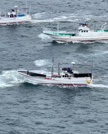 minpintoo's tweet photo. #TaijiCoveJAPAN🔴:The #DolphinHunters just drove a pod of #MelonHeadedWhales into the deadly Cove. These poor guys didn't put up much of a fight, scared out of their wits by roaring engines &amp; iron pole banging, creating a #WallOfNoise to control them 🐳🐳💔https://t.co/yi9jV7Entr https://t.co/AwNTWuG3s5