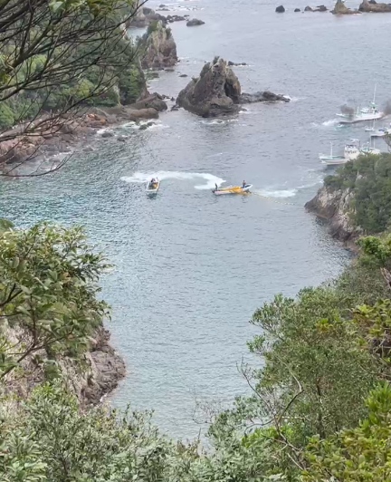 minpintoo's tweet photo. #TaijiCoveJAPAN🔴:The #DolphinHunters just drove a pod of #MelonHeadedWhales into the deadly Cove. These poor guys didn't put up much of a fight, scared out of their wits by roaring engines &amp; iron pole banging, creating a #WallOfNoise to control them 🐳🐳💔https://t.co/yi9jV7Entr https://t.co/AwNTWuG3s5