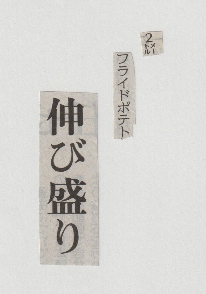 collage575's tweet photo. 新聞紙の言葉を切りとってつくる川柳。

２メートル　フライドポテト　伸び盛り https://t.co/s3tGbcs8W5