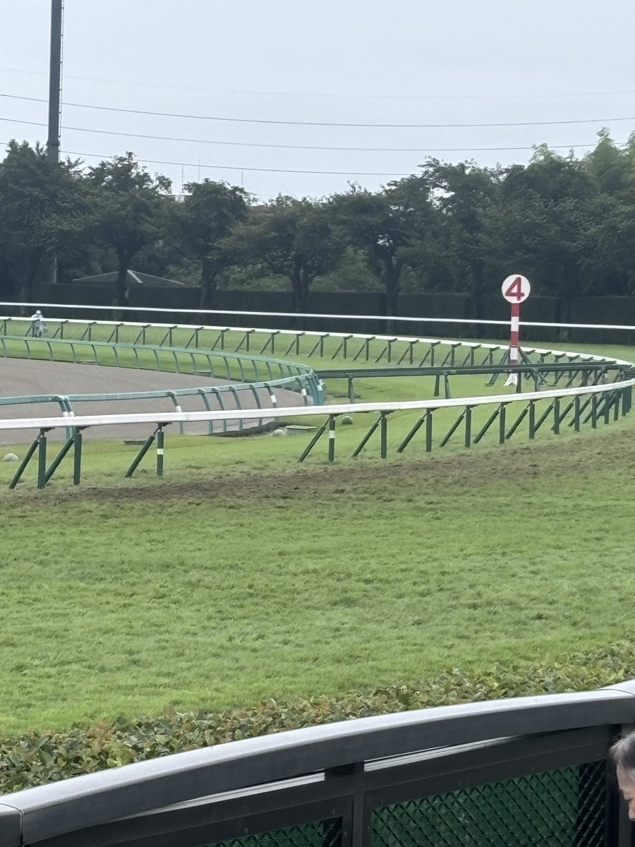 Tosty1911's tweet photo. 中山馬場は見た目かなり悪いですね😓
全馬無事に走り切れますように🙏
#中山競馬場
#スプリンターズS https://t.co/FoI1VNORc3