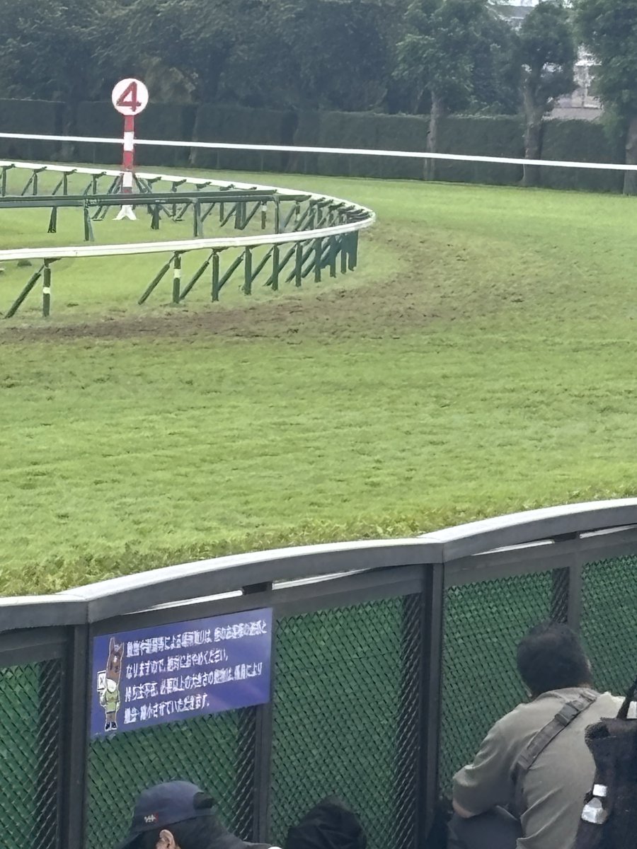 Tosty1911's tweet photo. 中山馬場は見た目かなり悪いですね😓
全馬無事に走り切れますように🙏
#中山競馬場
#スプリンターズS https://t.co/FoI1VNORc3
