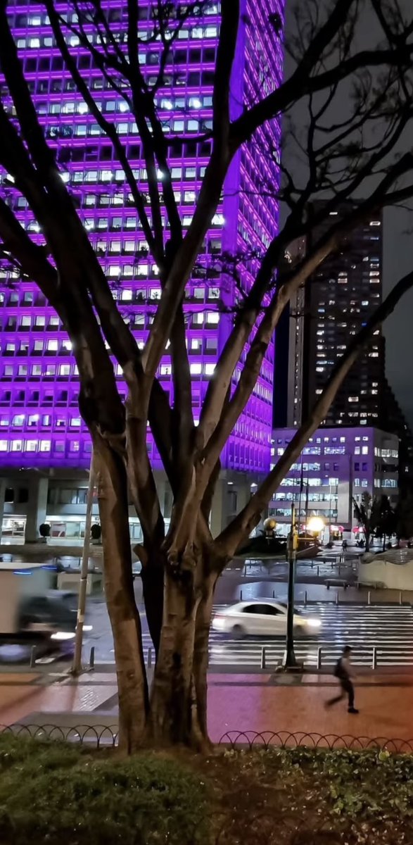 mp_d30's tweet photo. EL CENTRO INTERNACIONAL TAMBIÉN ESTÁ MORADO. MI BORAGOTÁ💜💜💜 https://t.co/4p22joRoxy