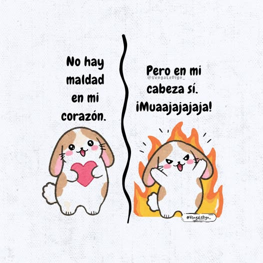 Andresin_40's tweet photo. @samajeca dejeme decirle que usted me conmueve https://t.co/p3ZzoO7Tdj