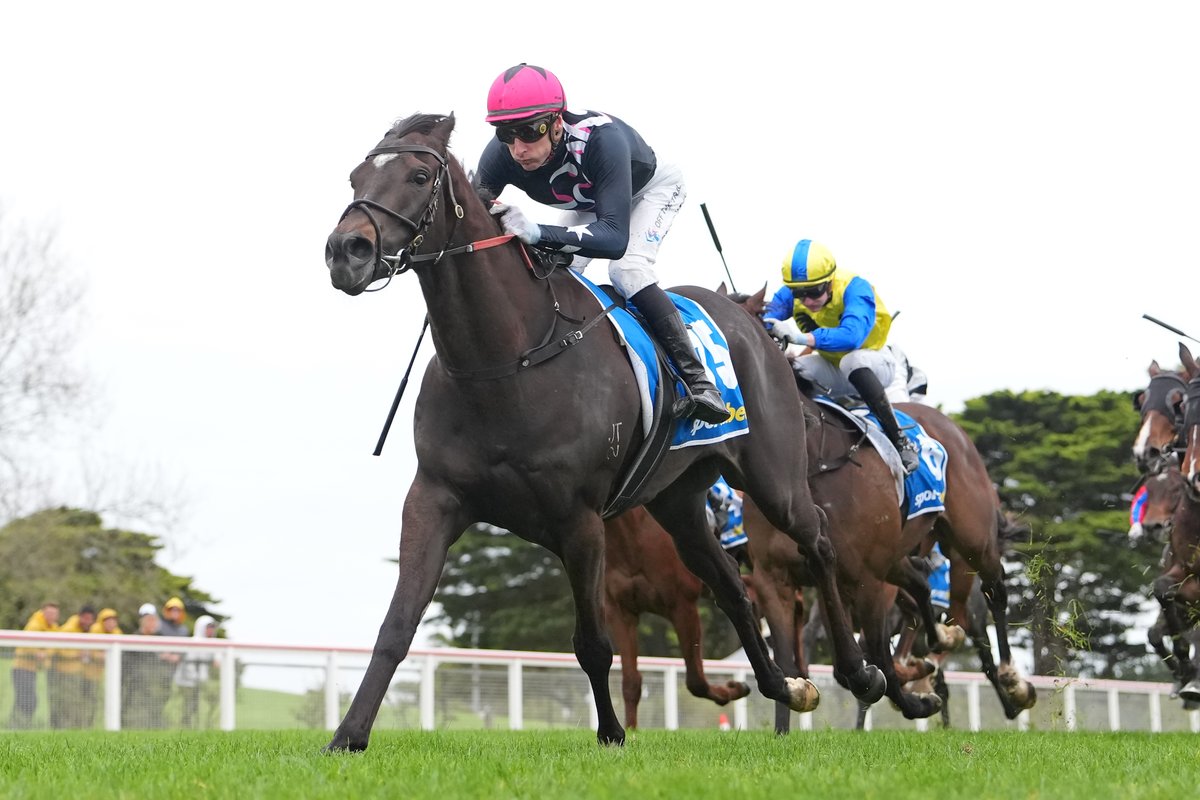 breednet's tweet photo. 140k Inglis Premier purchase from Widden, Veyepee looms as a SW in the future for Russian Camelot and has a massive group of owners that are enjoying tie ride - 4 wins from 5 starts!  https://t.co/OPBw9t9pYk @inglis_sales @widdenstud @vicbreeders @FreedmanRacing @livethedreamnow @lenny_bluegrass