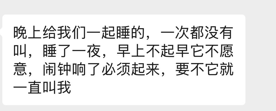 Lacryepiscript1's tweet photo. 猫在这个家里当上教官了。 https://t.co/JkifchuyKZ
