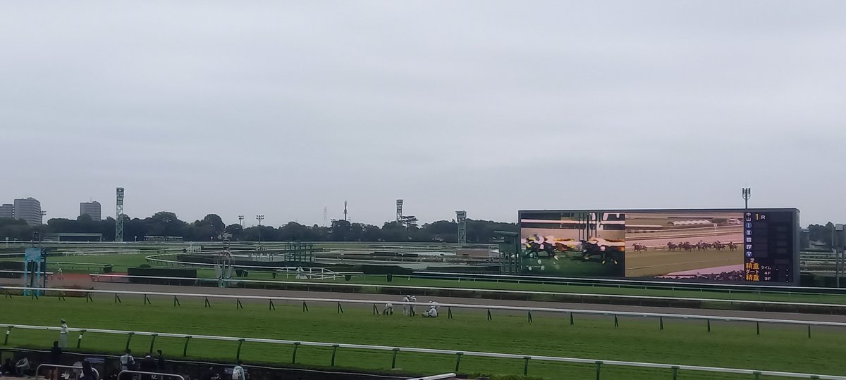 ddscarlet's tweet photo. 今日はノルマンのジョワリヴレがデビューするので中山競馬場へ。
調教、鞍上。いろいろ期待しちゃう。
口取りは残念ながら抽選落ちだが、目の前で勝利をみたい!! https://t.co/VfDd5Q9pgB