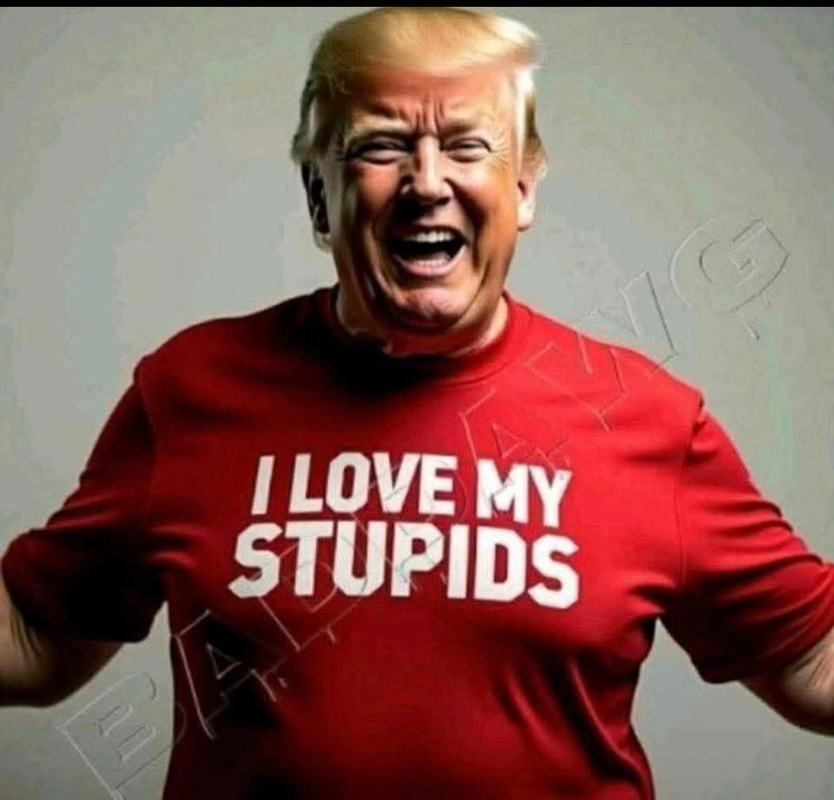 Gio0357's tweet photo. @Tamra_Diane @MAGAVoice #TrumpStupid https://t.co/51wWh5Dq0z