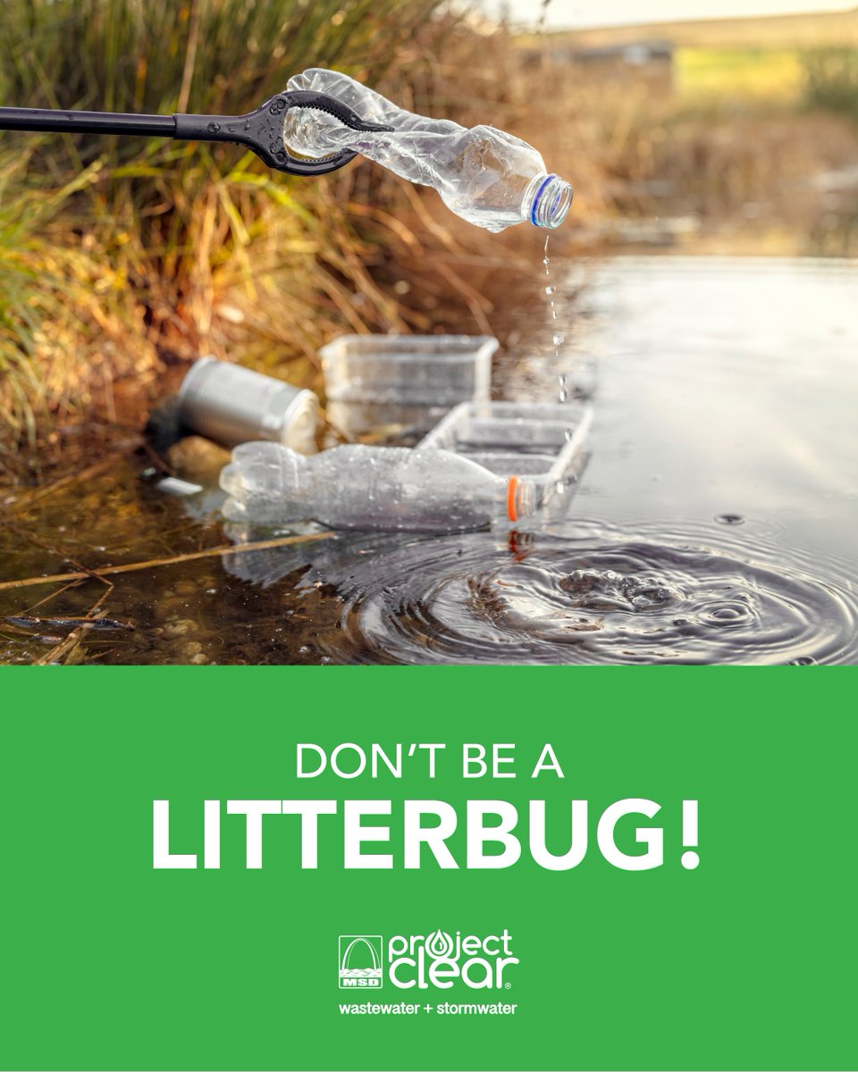 MSDProjectClear's tweet photo. Litter doesn’t always stay where it lands. 🚯 When rain carries trash into storm drains, it can flow directly into local rivers and streams, polluting our water and harming wildlife.

Help protect our waterways by putting trash! https://t.co/IHebMqzxn7