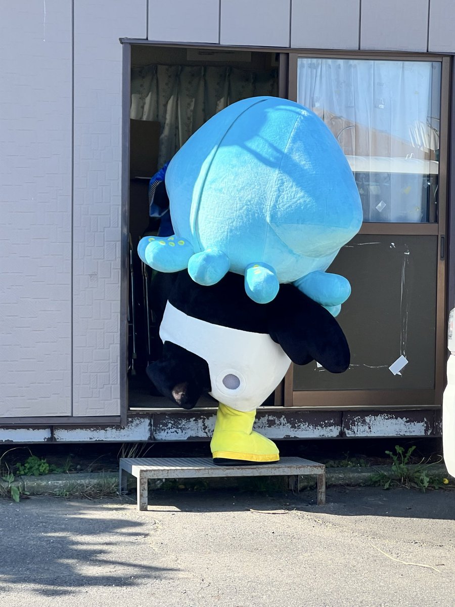 YA8KA's tweet photo. 9月もたくさんのイベントがあり、ウキウキして行きたい病w
腹痛はあるけど朝市散歩できました🧑🏼‍🩰

いかずきんズのかぶさん（お父さん）と会えて嬉しすぎました🩵

#館鼻岸壁朝市 https://t.co/8WEwY2A6SB