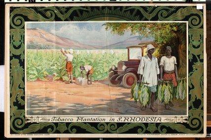 RhodesianAction's tweet photo. This 1929 poster sold the Empire on Southern Rhodesian tobacco, and the colony delivered. By 1965 it was the world's second-biggest tobacco producer after the USA, with leaf making up a third of all Rhodesian exports. https://t.co/XMVuegDbAk