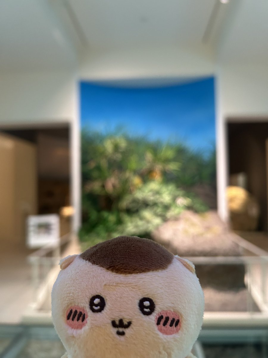 Ios5rUb's tweet photo. シーサーちゃんと、くりまんじゅう先輩と旅を楽しんでます〜！
仲良くしてください😭 https://t.co/ProMmJWf2h
