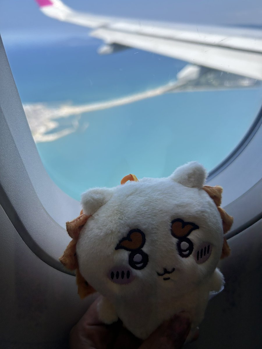 Ios5rUb's tweet photo. シーサーちゃんと、くりまんじゅう先輩と旅を楽しんでます〜！
仲良くしてください😭 https://t.co/ProMmJWf2h