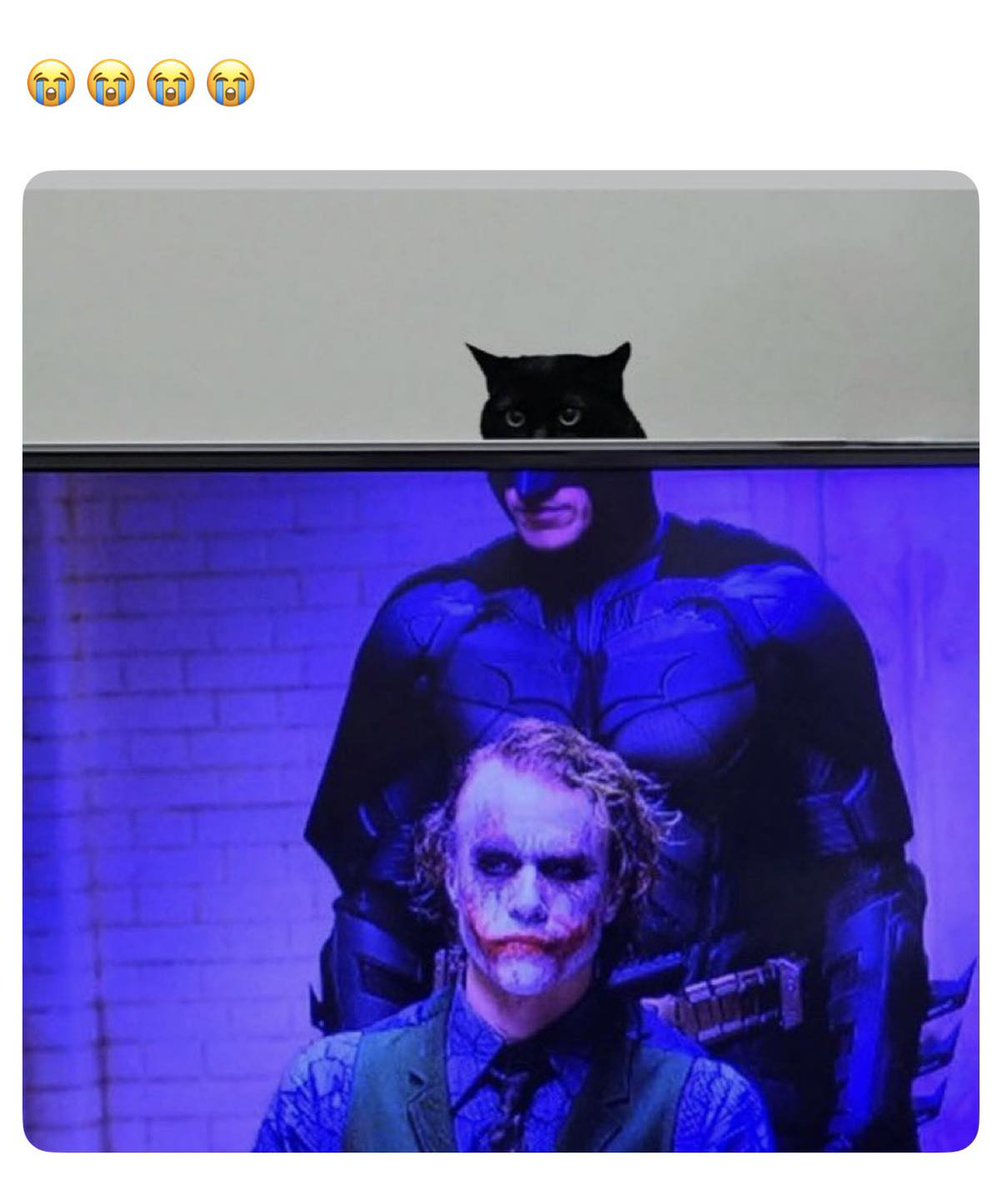 LeesaTenengt's tweet photo. Batman has been a pop-culture icon for decades, but Christopher Nolan’s The Dark Knight elevated him further. Christian Bale’s Batman and Heath Ledger’s Joker created an unforgettable rivalry, while Ledger’s performance became legendary. Unlike https://t.co/zl82MT6kLo