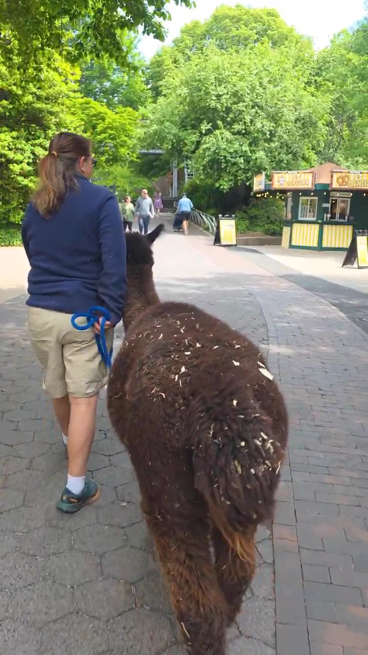 Philly Zoo (@phillyzoo) on X