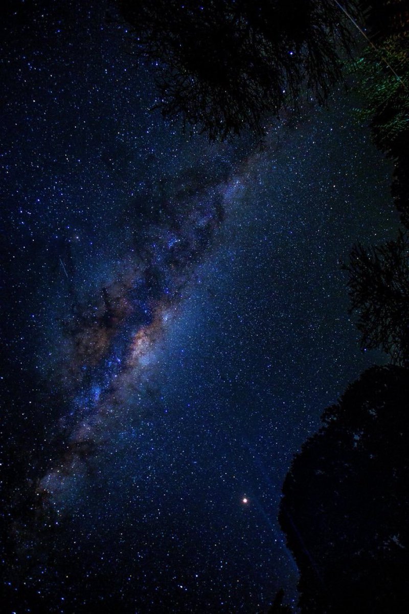 spacevibex's tweet photo. Stars ✨ https://t.co/SewfasR1P3