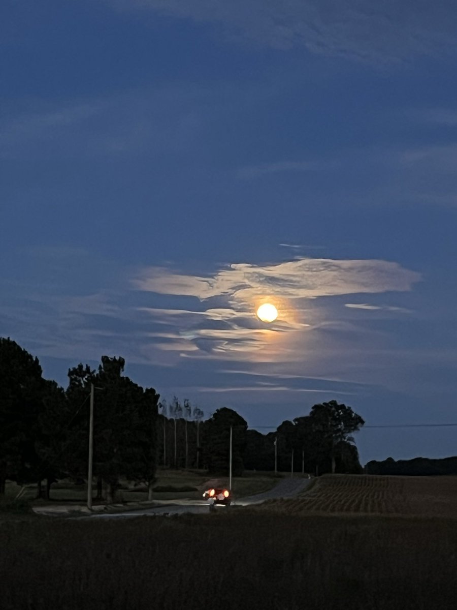 elevated_m82037's tweet photo. Harvest Moon Cullman Co. picture taken by Regina Lee @spann https://t.co/07Pc9cD4le
