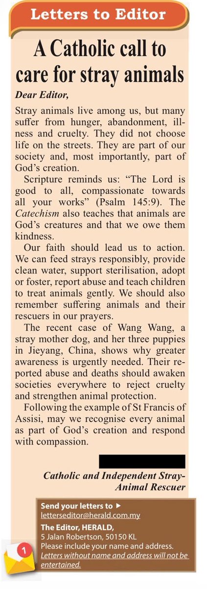 halrosiec's tweet photo. #WANGWANG MADE THE NEWS IN MALAYSIA!!!

-----

Thank you to the Malaysian Catholic Herald #heraldmalaysia for publishing our article and including the story of Wang Wang and her three puppies.

No matter our religion, background or beliefs, compassion and humanity should unite us. Animals share this planet with us. They, too, are part of God’s creation, and they deserve kindness, care and protection.

May Wang Wang and her puppies’ story remind us that caring for animals is a responsibility we all share.

#thevoicelessmatter #JusticeForWangWang #AnimalProtectionLaw #stopanimalcruelty #voiceforthevoiceless

#JusticeForWangwangAndHerPuppies #china #malaysia #news #ChinaAnimalProtectionLaw #ChinaMustAct #stopanimalcruelty