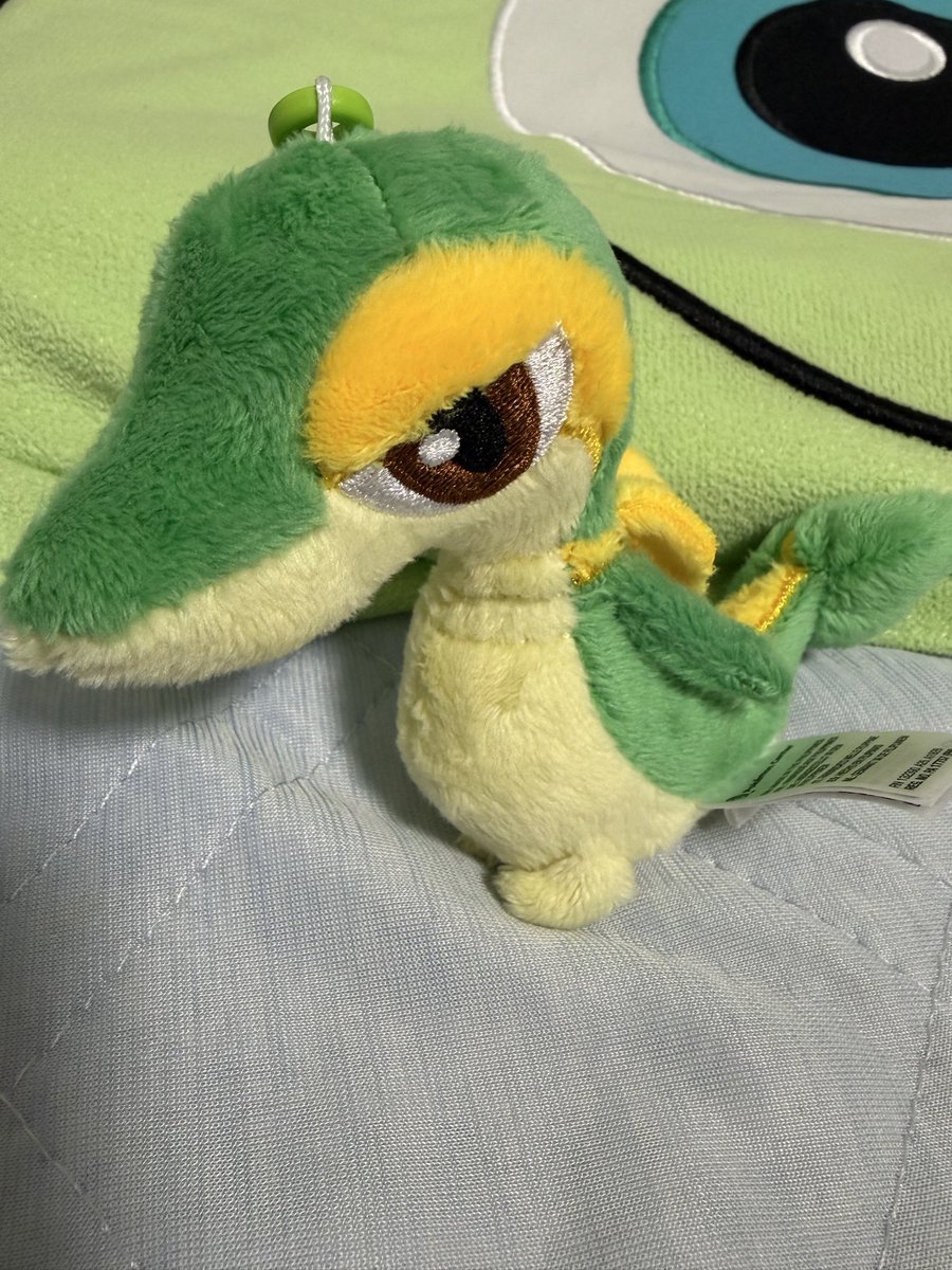 nuwo_02's tweet photo. ツタージャがみんなによろしくって言ってるよ https://t.co/0p4wNNdqll