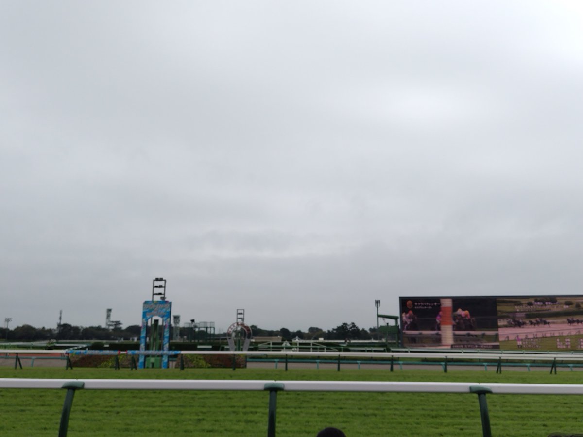 bay_knt's tweet photo. 秋のGI開幕！
と言うことで中山競馬場参戦！
スプリンターズS楽しみ(^^)/
#スプリンターズS
#スプリンターズステークス https://t.co/5eNtCVK5rT