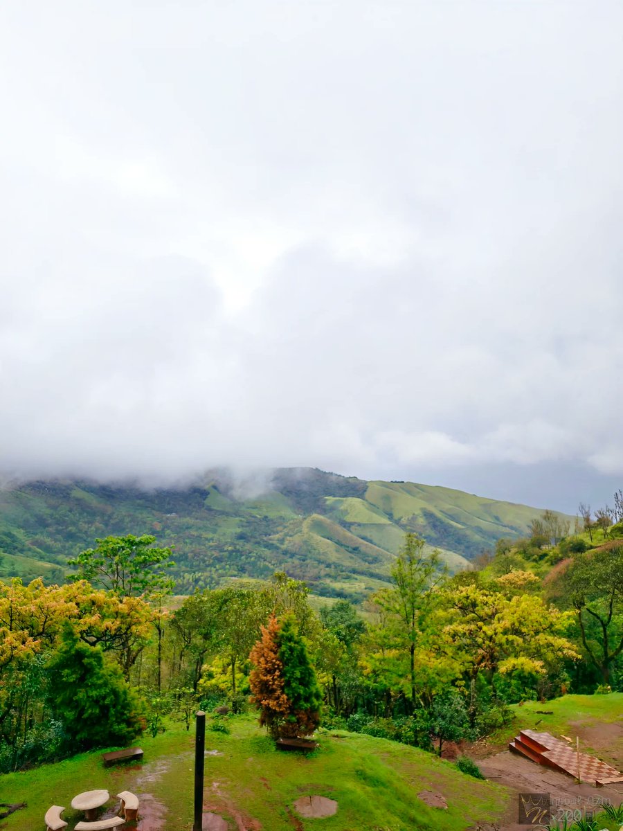 MargotCaldmc's tweet photo. Lost in the clouds, surrounded by nature’s peace. https://t.co/V1ECTd37nI