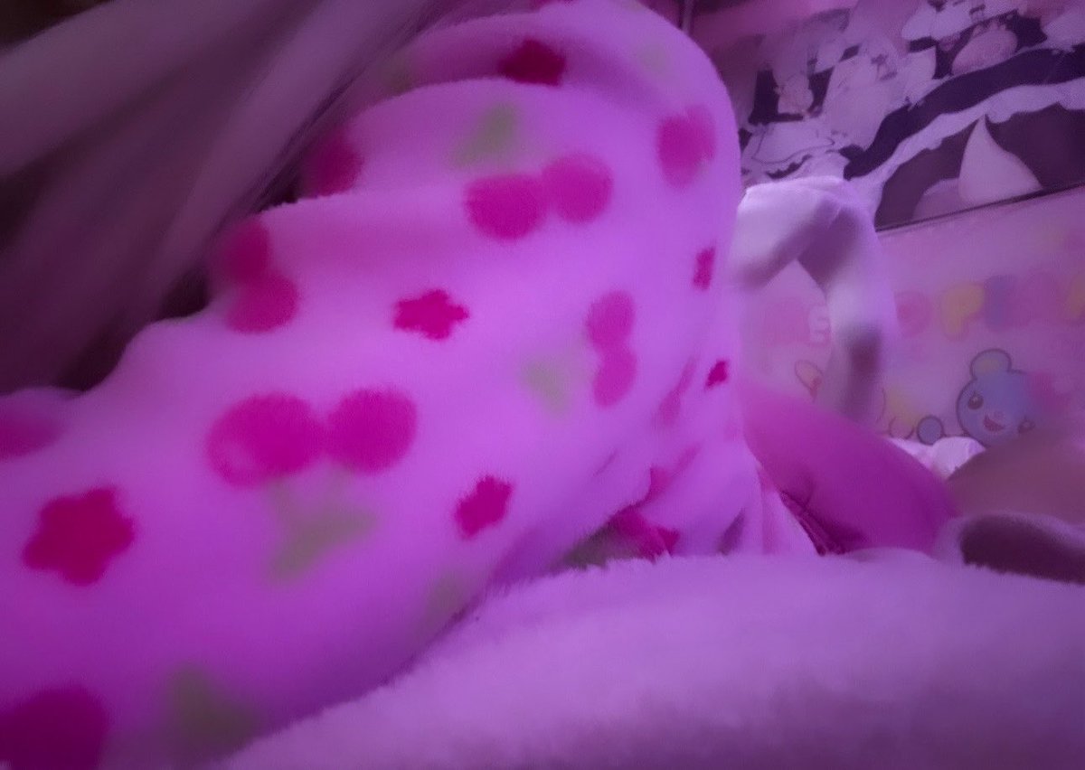 collarplae's tweet photo. #baby #cutecore #egirl #tweencore #daughter #kidcore #small https://t.co/hwHI6MqHOe