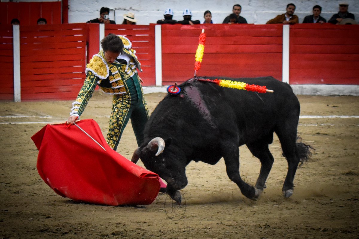 LamadeGongora's tweet photo. 2 Orejas y Puerta Grande Triunfador de la tarde para Lama de Góngora en su Debut en Ecuador ante un gran ejemplar de Santa Marta https://t.co/QCj8cMWOfs