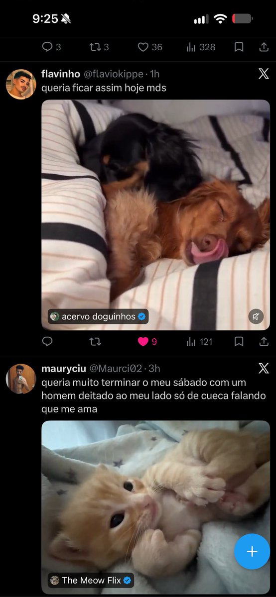 salespedroh's tweet photo. tl não ajuda também né vtnc https://t.co/KryoUKfvLJ