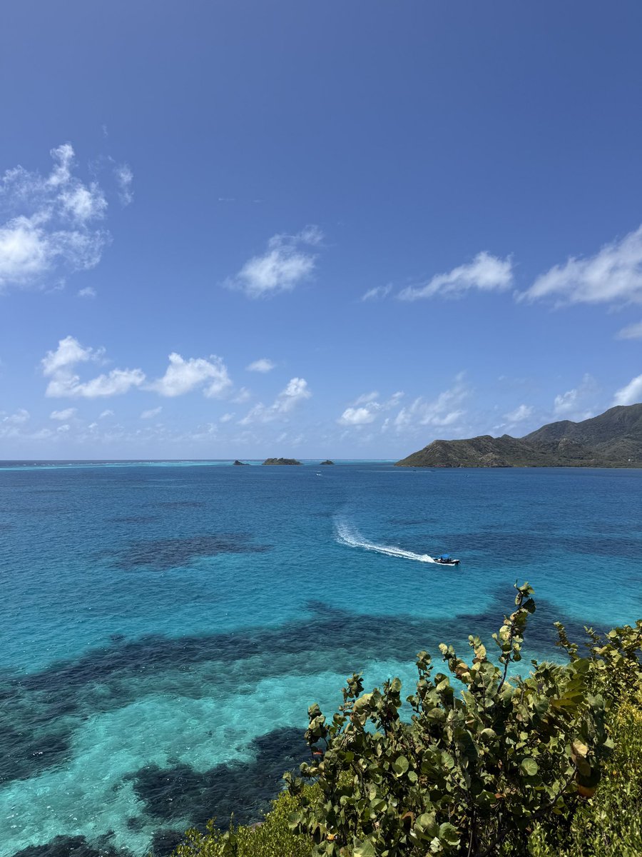 daikitt3's tweet photo. コロンビアのプロビデンシア島④
Colombia  Providencia 
Cayo Cangrejo https://t.co/ksL1vxzdr1