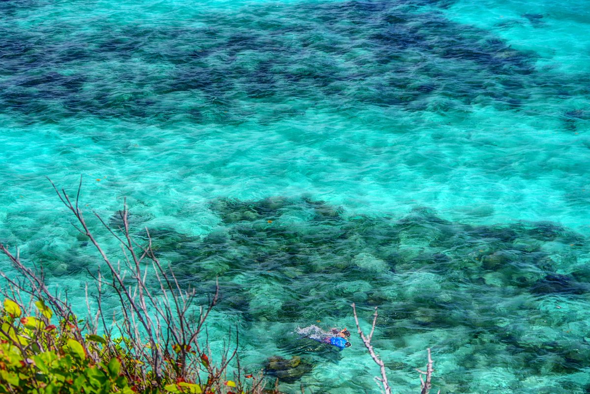 daikitt3's tweet photo. コロンビアのプロビデンシア島④
Colombia  Providencia 
Cayo Cangrejo https://t.co/ksL1vxzdr1