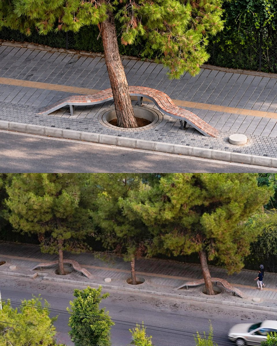 sehviyat's tweet photo. Urban architecture protecting trees. https://t.co/xvWHYPdIuP