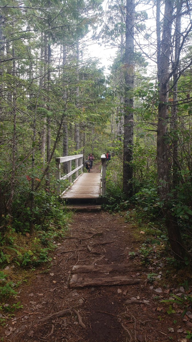 coastalbliss's tweet photo. Cape Scott offers a rare kind of wilderness solitude. Long beaches, quiet forest trails, and the steady rhythm of Pacific waves create a hiking experience that feels timeless. π²π #CapeScott #ExploreBC https://t.co/ebrQy0stYW https://t.co/aTdICKPXg8