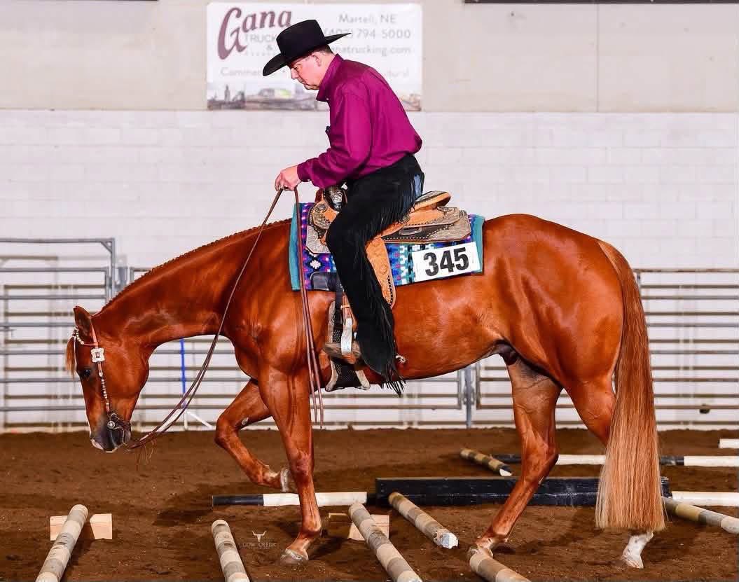 SeriousEquine7's tweet photo. 🔥Silver Classic Circuit Champion Jr Trail 🔥Novice &amp; Non-Pro Friendly- Hot Rodding Charlie is a 2021 AQHA sorrel gelding standing 15.3 hands with the résumé, versatility, and disposition to make an outstanding all-around partner. 

#seriousinquiriesonlyequine https://t.co/PZB5R93gQq