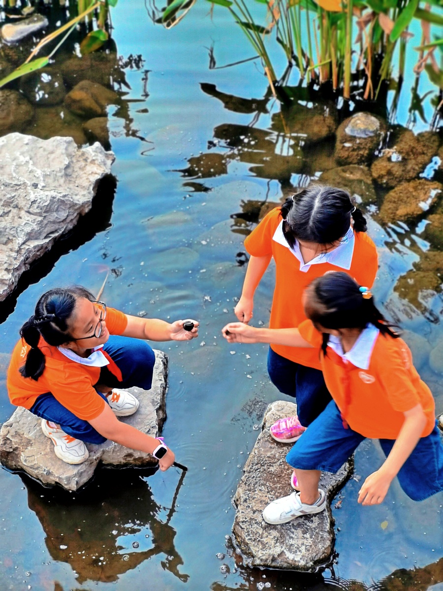 Dksiwega1's tweet photo. [In the serene autumn campus, students compete passionately by the clear pond, each eager to chase their own goals.]， https://t.co/1VMiayBGGJ