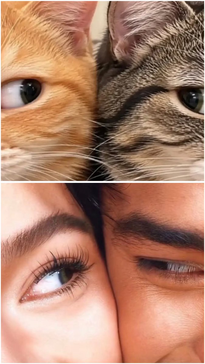 donbellejournal's tweet photo. Not them effortlessly joining this trend coz they were the og goofy couple since panahon pa ng mga dinosaur 😂 

#DonBelle https://t.co/IGWDbTkYYF